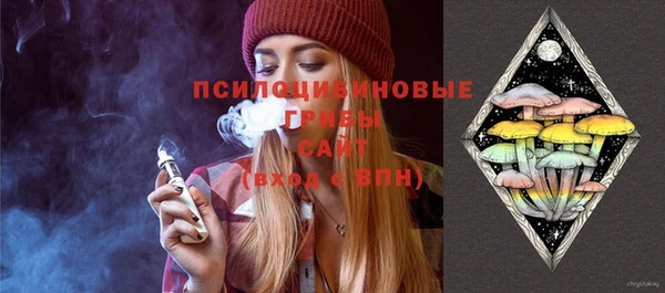 крисы Армянск
